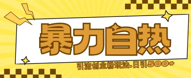 最新暴力自热引流玩法日引500+创业粉-DE云网创