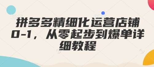 拼多多精细化运营店铺0-1，从零起步到爆单详细教程-DE云网创