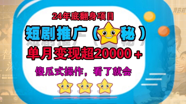 24年底短剧推广新玩法(揭秘),傻瓜式操作-DE云网创