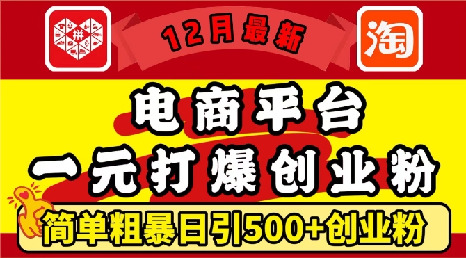 12月最新：电商平台1元打爆创业粉，简单粗暴日引500+精准创业粉，轻松月入过W【揭秘】-DE云网创