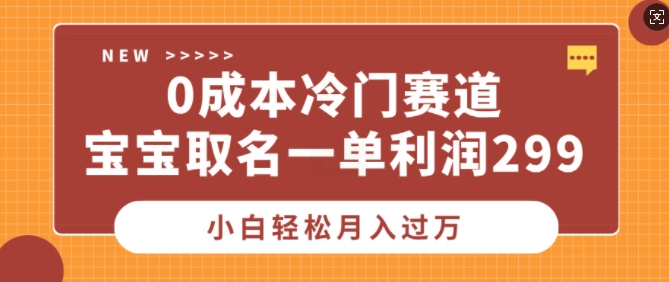 0成本冷门赛道，宝宝取名一单利润299，小白轻松月入过万-DE云网创
