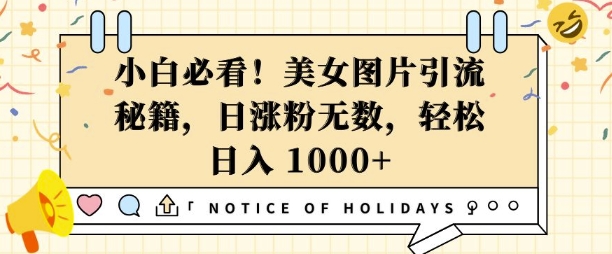 小白必看，美女图片引流秘籍，日涨粉无数，轻松日入几张【揭秘】-DE云网创