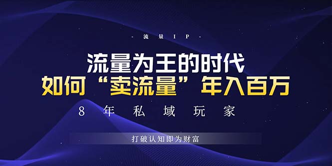 （13433期）未来如何通过“卖流量”年入百万，跨越一切周期绝对蓝海项目-DE云网创