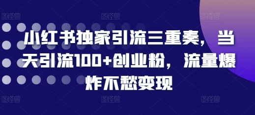 小红书独家引流三重奏，当天引流100+创业粉，流量爆炸不愁变现【揭秘】-DE云网创
