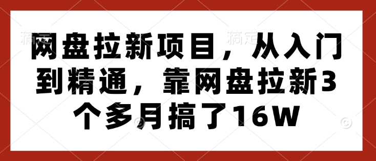 网盘拉新项目,从入门到精通,靠网盘拉新3个多月搞了16W-DE云网创