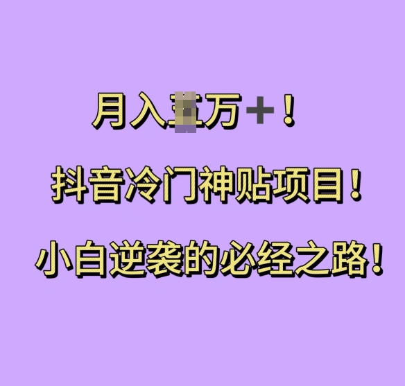 抖音冷门神贴项目，小白逆袭的必经之路，月入过W【揭秘】-DE云网创