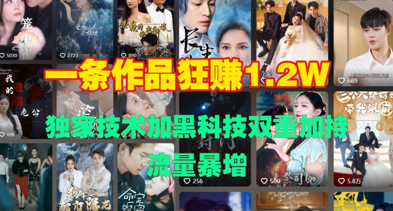 一条作品收益1.2w，独家技术加黑科技双重加持，流量暴增-DE云网创