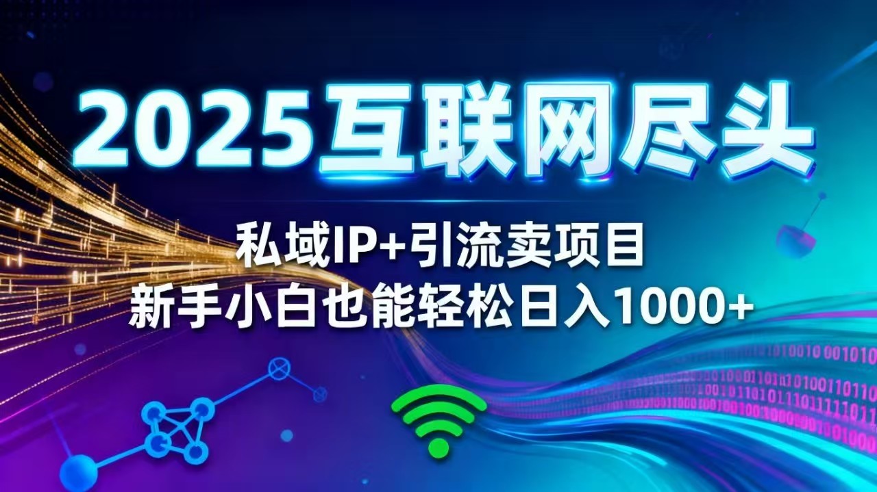 2025网创尽头王炸项目！私域 IP + 精准引流，新手小白在家躺赚日入 1000+-DE云网创
