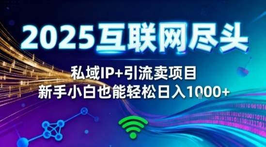 2025网创尽头王炸项目！私域IP+精准引流，新手小白在家躺賺日入1k，零经验也能上手【揭秘】-DE云网创
