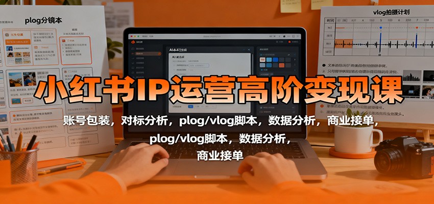 小红书IP运营高阶变现课：账号包装，对标分析，plog/vlog脚本，数据分析，商业接单-DE云网创